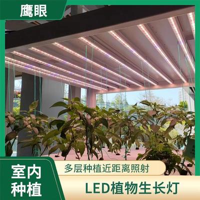 led植物灯双头 大棚蔬菜药材花 鹰眼 花卉生长补光灯 12W