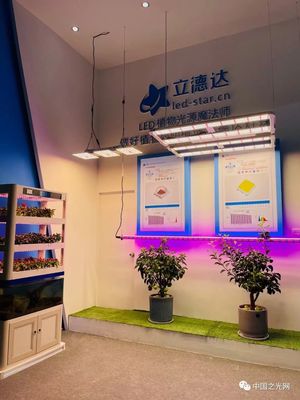 老洪带你逛光亚 | 光亚展首日看点 LED植物灯引领农业照明新潮流