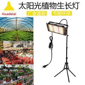 全光谱LED植物灯5730 植物生长补光灯的最佳选择