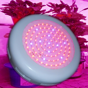 90W LED植物生长灯 农业照明的高效之选