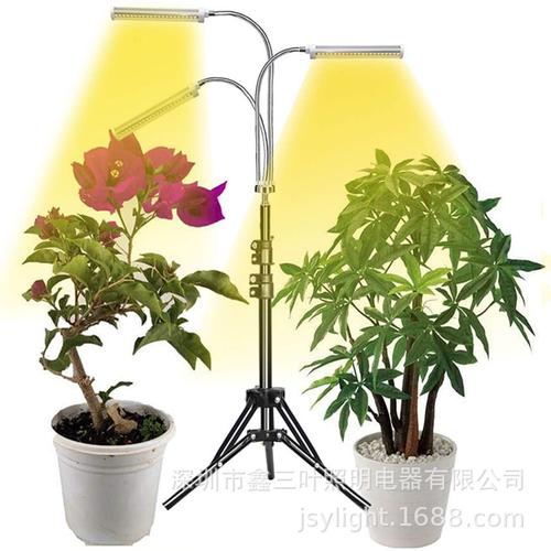 LE三玉米头落地式植物灯产品图片与真正的植物灯生产厂家选择指南
